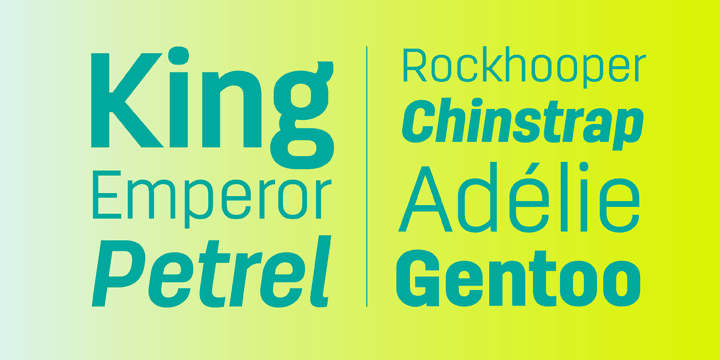 Antartida font family example.