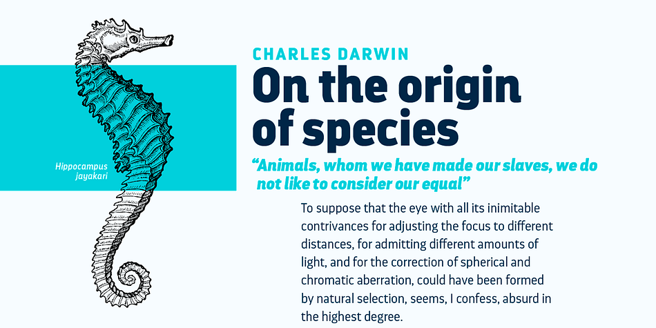 Darwin Pro Font