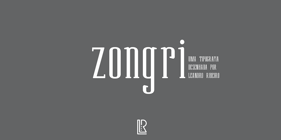 Displaying the beauty and characteristics of the Zongri font family.