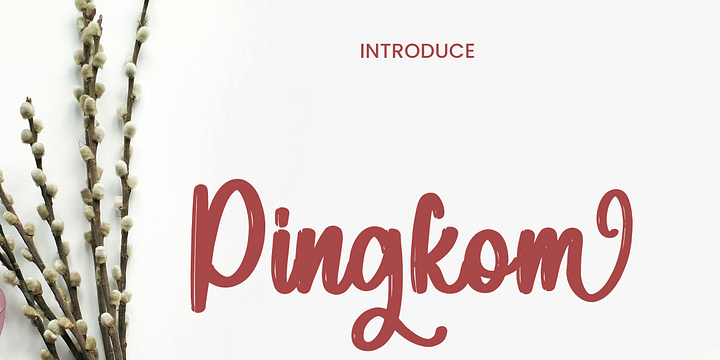 Pingkom font family by Ayska