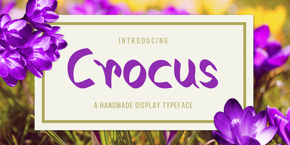 Crocus is a new & modern handmade font.
