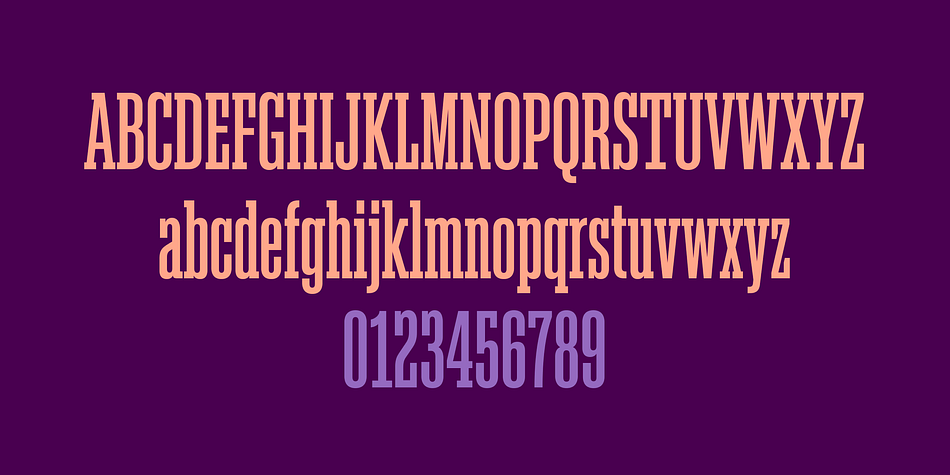 Akkordeon Slab font family example.