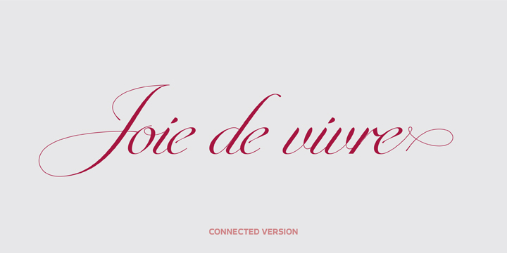 Emphasizing the popular Penna font family.