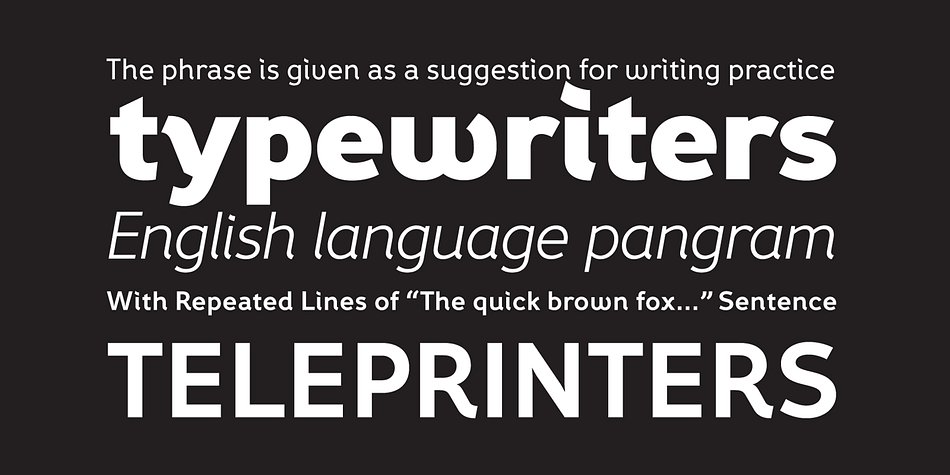 Displaying the beauty and characteristics of the Fox Grotesque Pro font family.