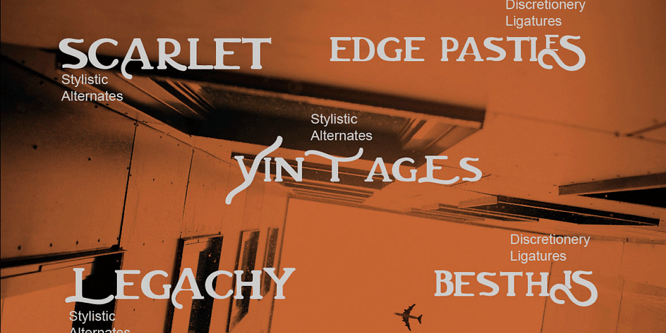 To enable the OpenType Stylistic alternates, you need a program that supports OpenType features such as Adobe Illustrator CS, Adobe Indesign & CorelDraw X6-X7, Microsoft Word 2010 or later versions.