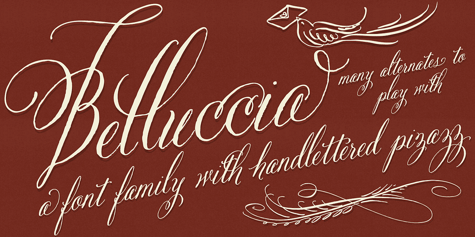 What’s unique about the Belluccia font family (now in both Regular & bold weights) is the ability to turn on various features (Ligatures, Stylistic Alternates, Contextual Alternates, Swashes, Old Style Figures) to auto-magically swap out letter sets with alternate versions, allowing you to easily type your messages, while creating the visual diversity that gives you the unique look of custom lettering.