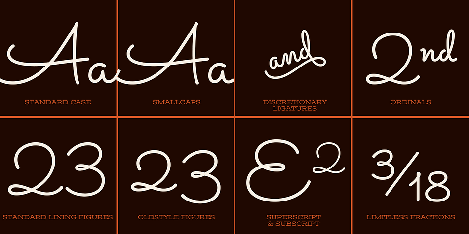 Opentype features include:

Contextual Alternates for initial and final forms.
Stylistic Alternates for an alternate lowercase t.