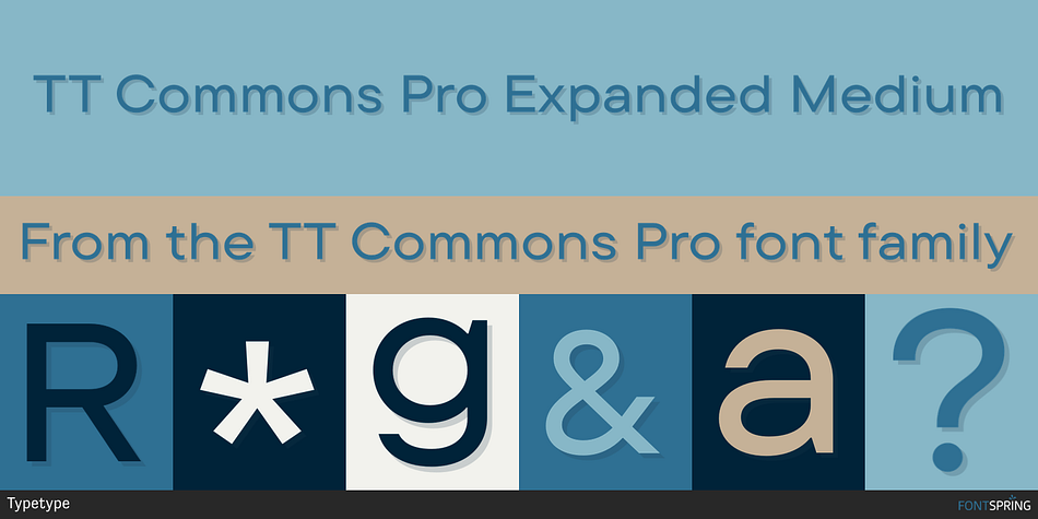 TT Commons Pro Expanded Medium Font