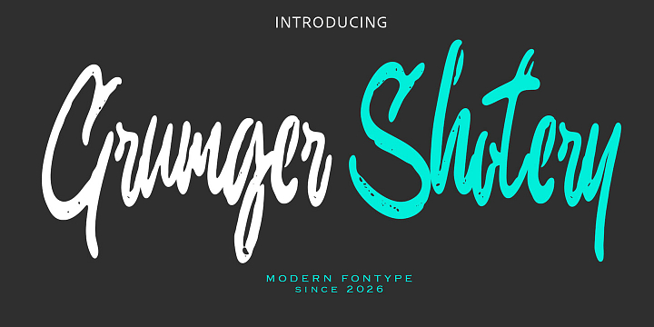 Grunger Shoter font family by Dora Typefoundry