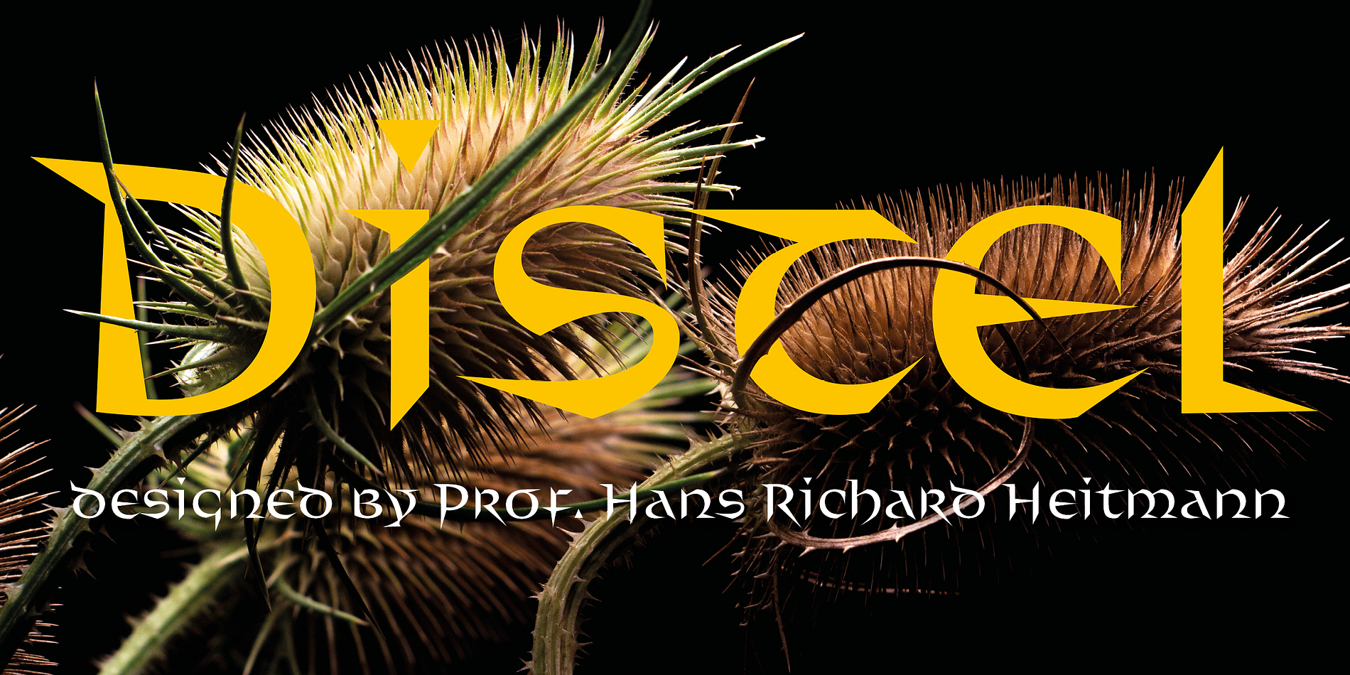 Distel