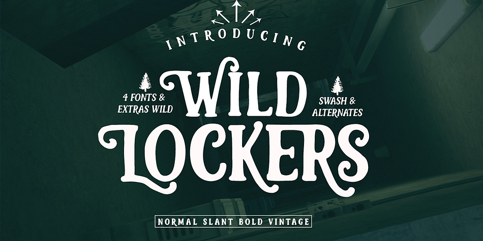 For your letters, Lockers  has its own character raised from selecting a font.