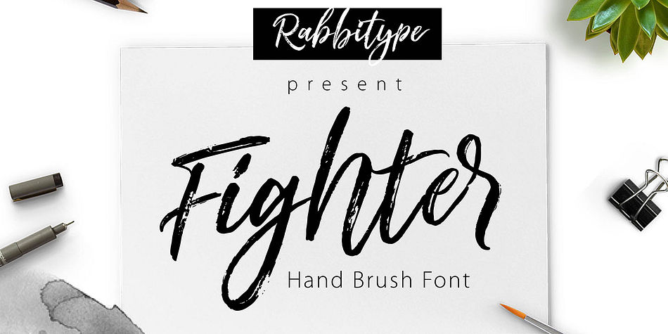 Fighter Brush is a beautiful Brush Script.