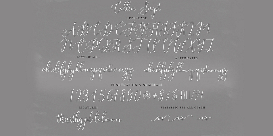 Callem Script Font