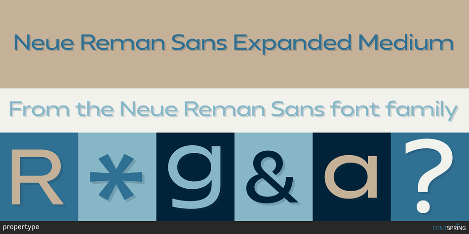 Neue Reman Sans Expanded Medium Font