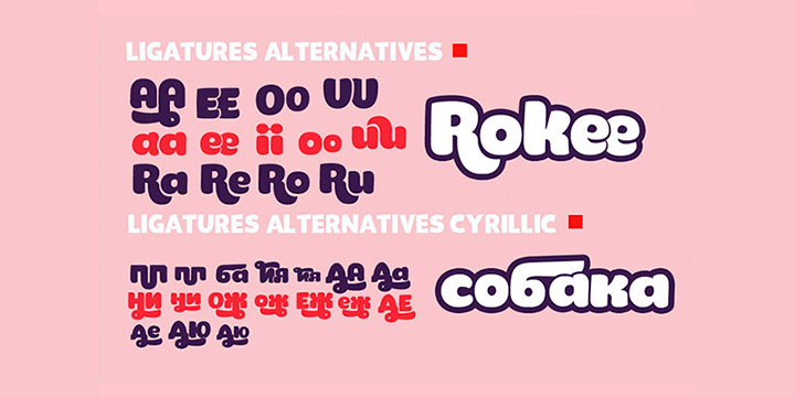 Emphasizing the popular Pony font family.