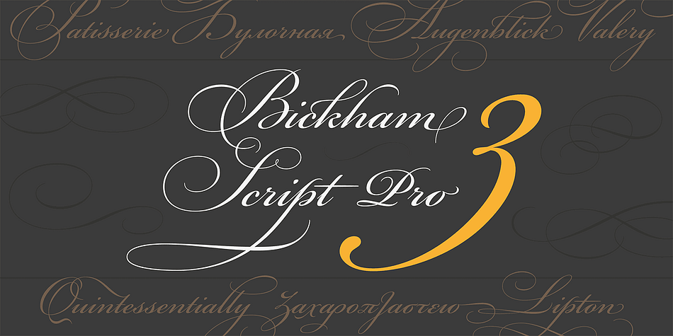 Richard Lipton’s Bickham Script is a flowing, formal script typeface based on the lettering of 18th century writing masters, as rendered in the unparalleled engravings of George Bickham.