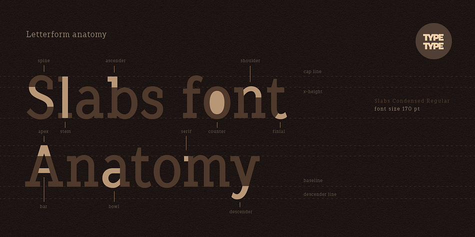 TT Slabs Condensed font family example.