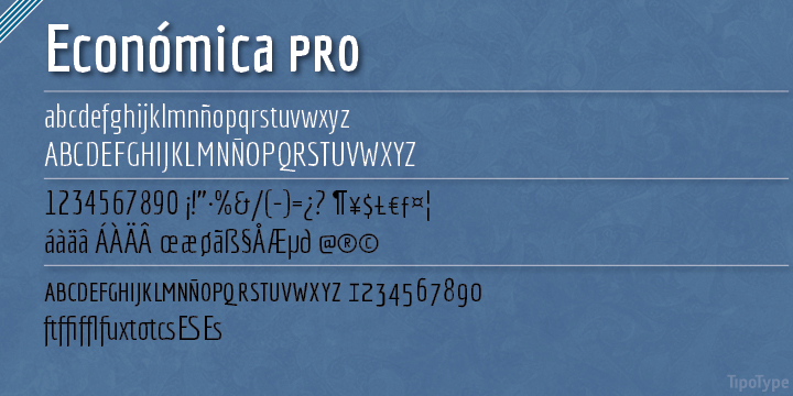 Economica Pro is a font specially developed for printing complex situations.