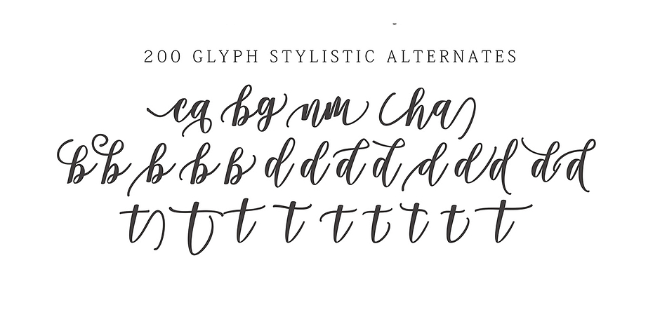 Damita font family sample image.