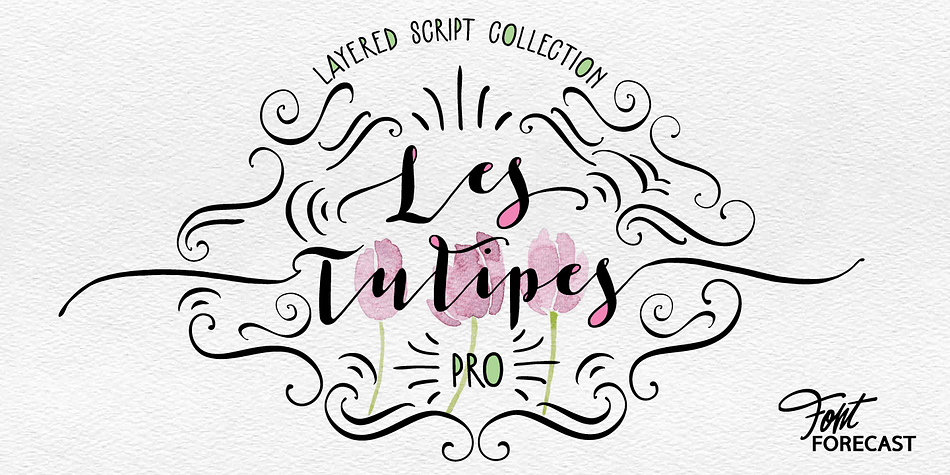 We present Les Tulipes Pro.