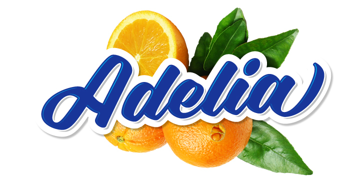 Adelia is a unique script that is bold, playful, and smooth.