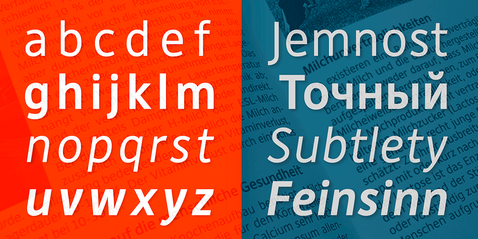 DejaRip is a six font, sans serif family by Anatoletype.