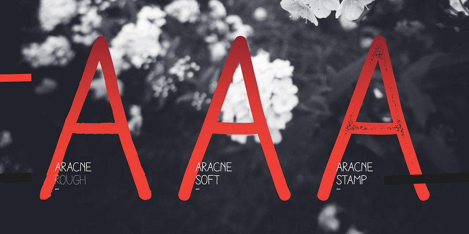 It provides a wide range of possibilities, including the Aracne Soft and Stamp, which offer softer and cleaner edges.