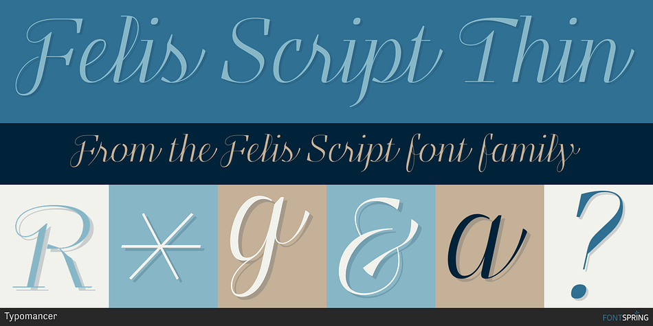 Felis Script Thin Font