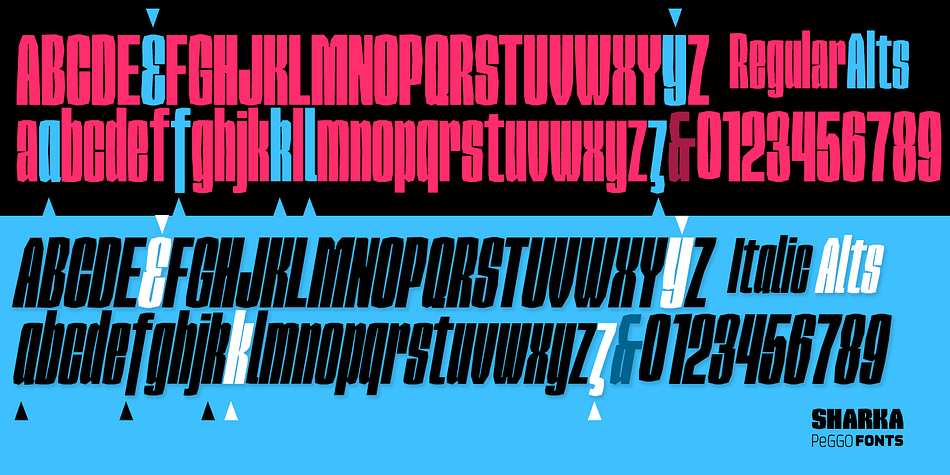 Sharka includes 11 OpenType features including Lining Figures and Standard Ligatures making this font a great value.