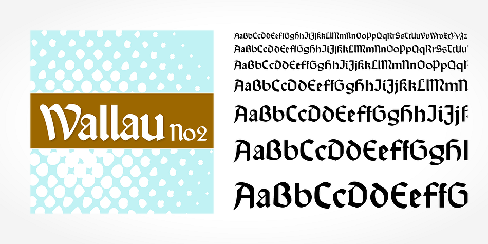 Wallau No2 Pro is a classic blackletter font of its epoch which inspires you to create vintage-looking designs with ease.