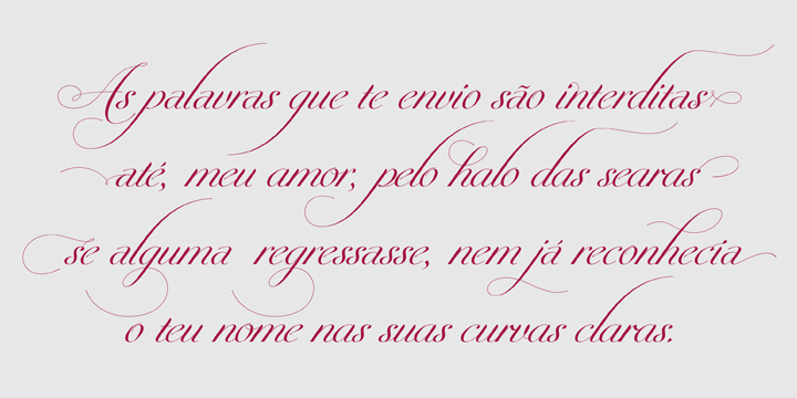 Penna is a calligraphic type system designed by Pedro Leal.