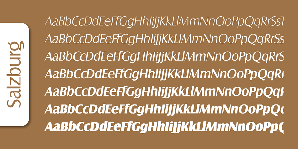 Emphasizing the popular Salzburg Serial font family.