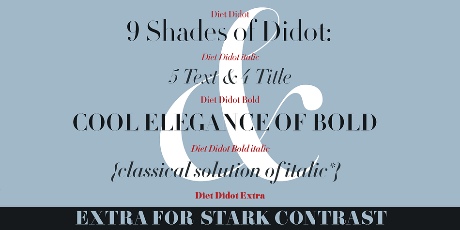 Displaying the beauty and characteristics of the DietDidot font family.