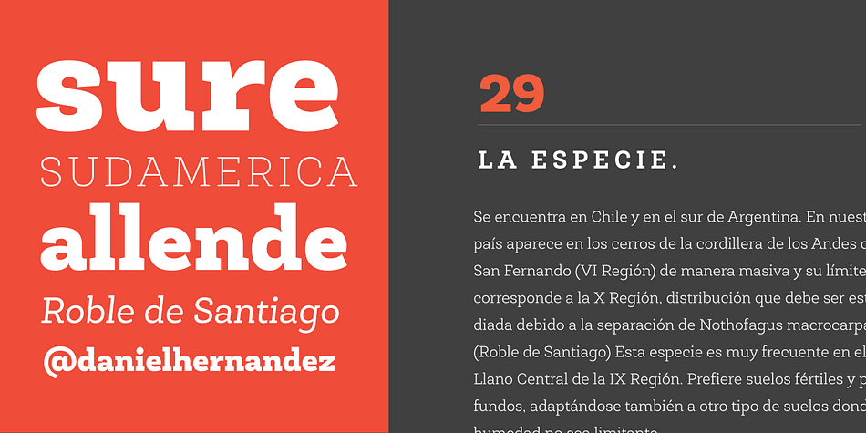 Roble Font