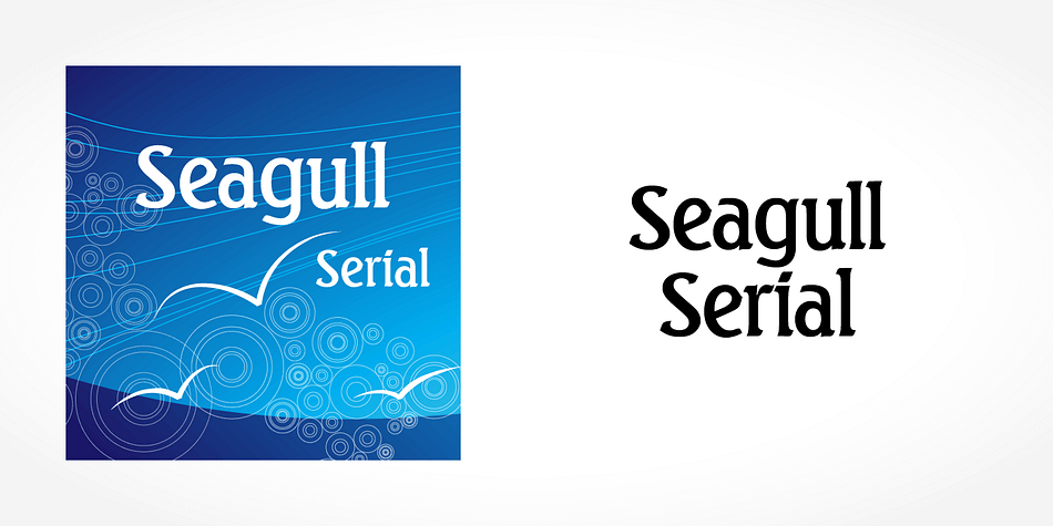 Displaying the beauty and characteristics of the Seagull Serial font family.