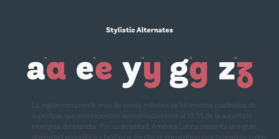 This typeface contains additional italic glyphs (a, y, z, g) that help to emphasise text or words.