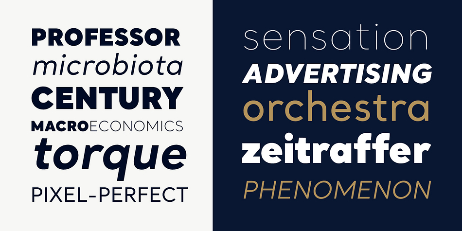 Santral  has extensive OpenType support including 1 additional stylistic set, Stylistic Alternates, Lining Figures and Standard Ligatures giving you plenty of options to allow you to create something truly unique and special.
