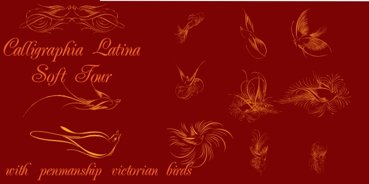 Highlighting the Calligraphia Latina Soft Four font family.
