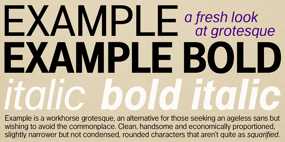 Example is a workhorse neo-grotesque, an alternative for those seeking an ageless sans but wishing to avoid the ordinary choices.