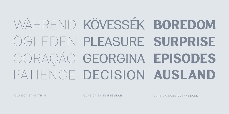 Displaying the beauty and characteristics of the Clasica Sans font family.