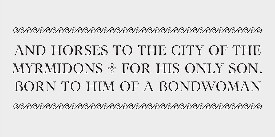 That approach allowed for some exuberance on the regular style, but also led to more calligraphic letterforms on the italic.