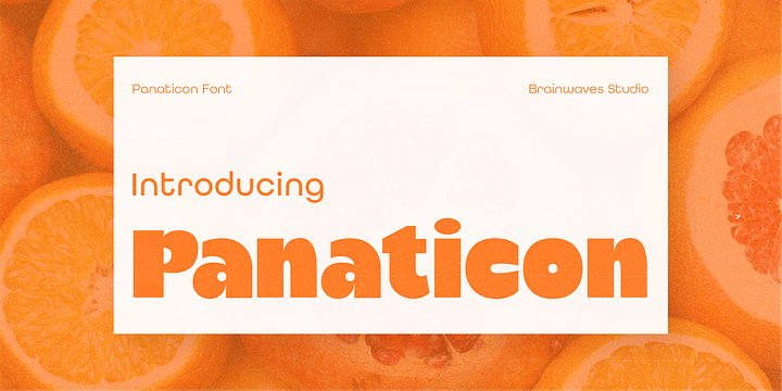 Panaticon Sans Bold Display font family by Brainwaves Studio