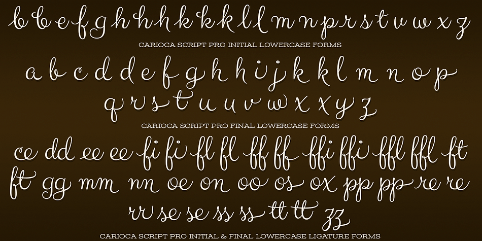 Highlighting the Carioca Script Pro font family.