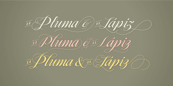 With more than 1000 glyphs, and taking advantage of the Opentype features, Ragazza is full of personality.