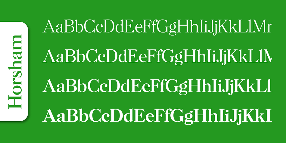Emphasizing the favorited Horsham Serial font family.