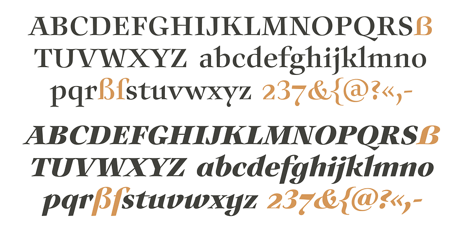 Displaying the beauty and characteristics of the Auxerre font family.