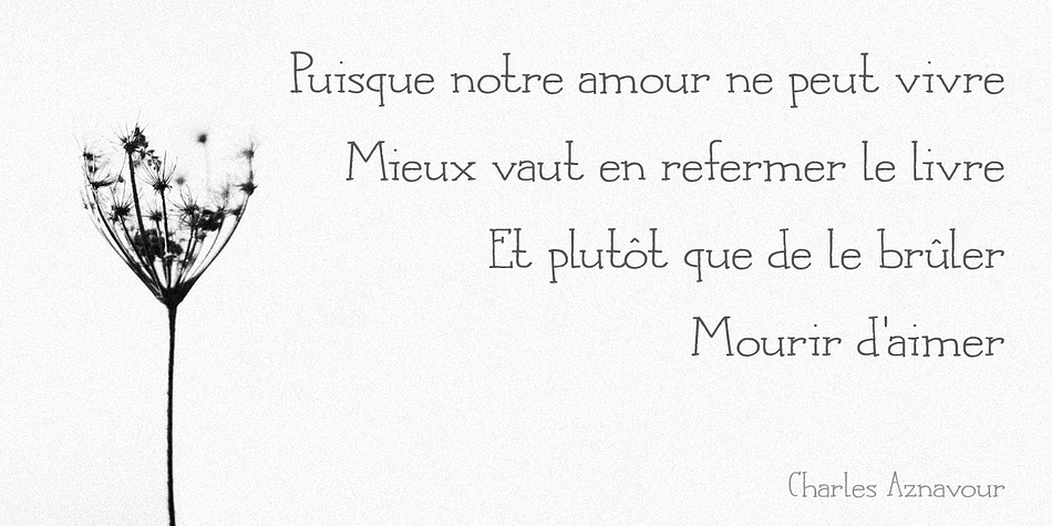 Languedoc is a beautiful and useful typeface: it is a handmade serif that is a bit rough around the edges, but very legible and fun to use.