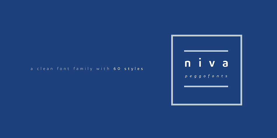 Niva is a display font family with 6 typographical groups in 10 weights each one, including a standard version, 2 italic widths, an alternative version and true small caps with italic version, too.