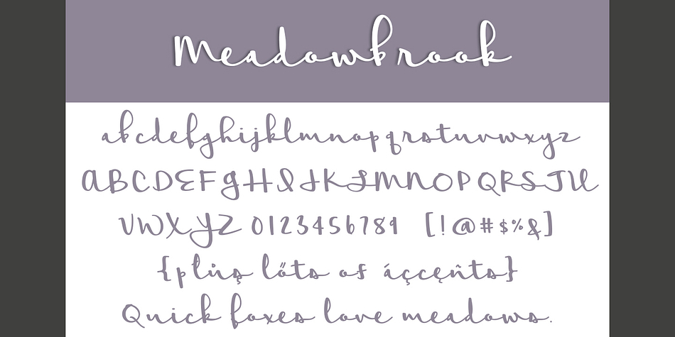 Meadowbrook is a smooth and calming weighted script.