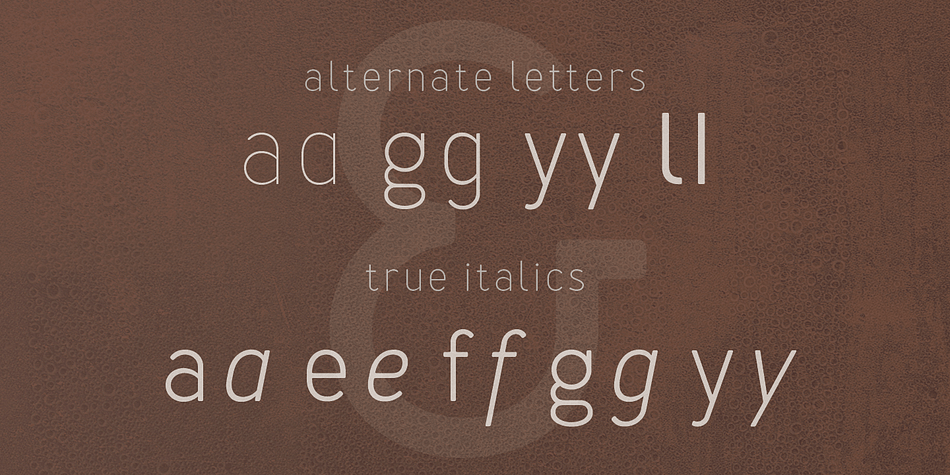 Displaying the beauty and characteristics of the Merlo font family.